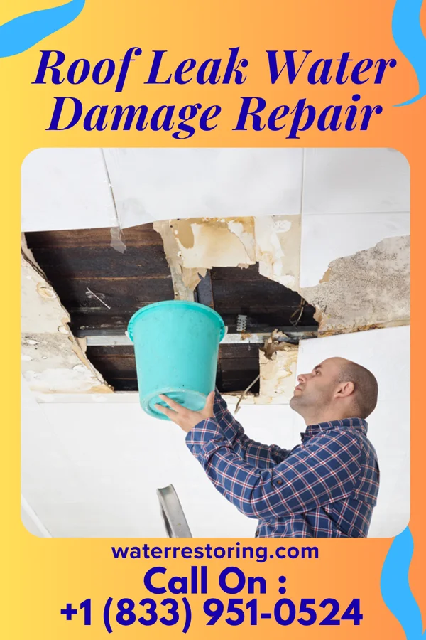 Roof Leak Water Damage Repair in Stafford, OR